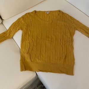 NWOT V-neck sweater